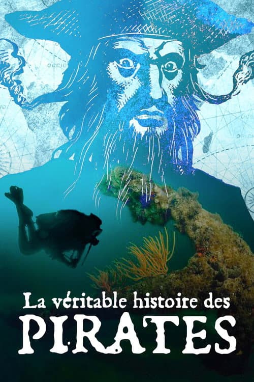 La Véritable histoire des pirates (2022) poster