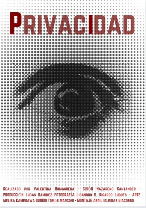 Privacidad (2024) poster