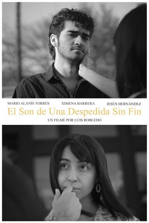 El Son de Una Despedida Sin Fin (2022) poster
