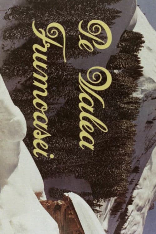 Pe Valea Frumoasei (1981) poster