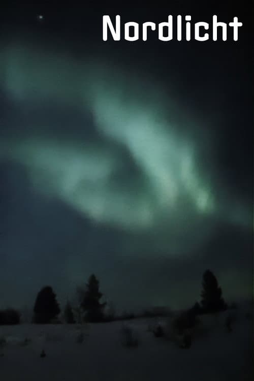 Nordlicht (1988) poster