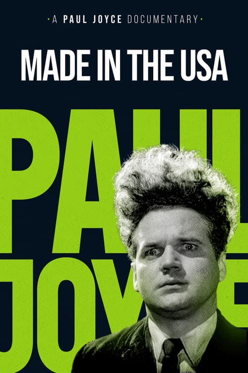 Made in the USA (1993) poster