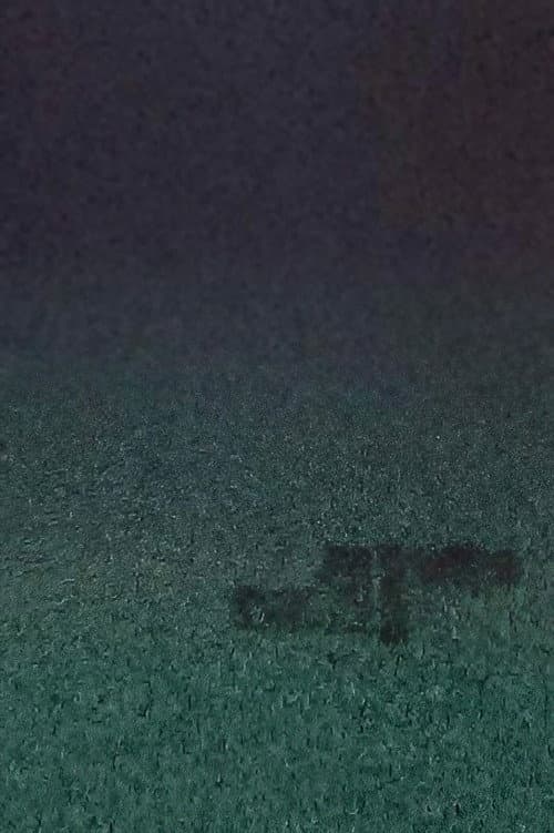 L'arbre (2021) poster