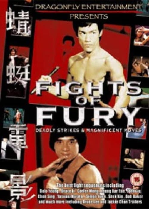 Fights of Fury (2004) poster