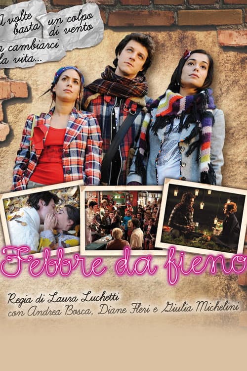 Febbre da fieno (2010) poster