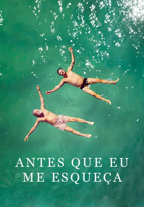 Antes Que Eu Me Esqueça (2017) poster