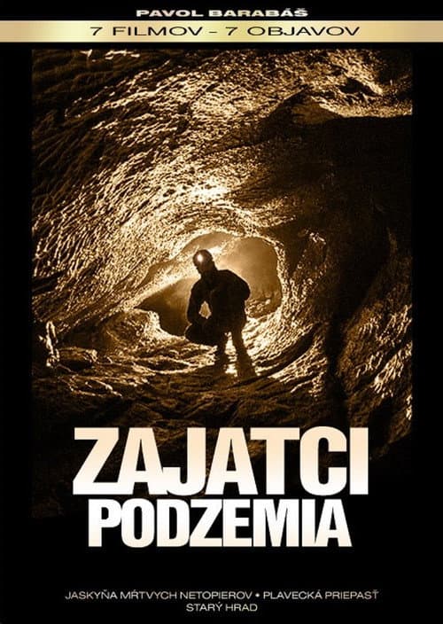 Zajatci podzemia (2012) poster