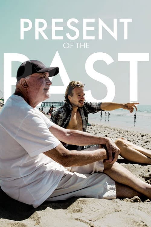 Present of the Past (2017) poster