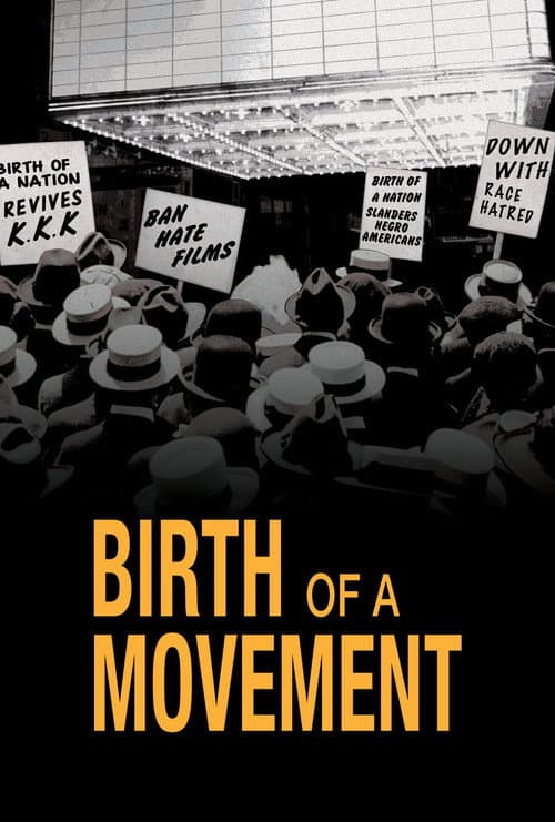 Birth of a Movement (2017) poster