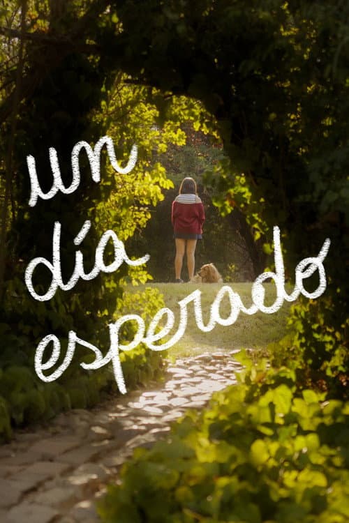 Un Día Esperado (2024) poster