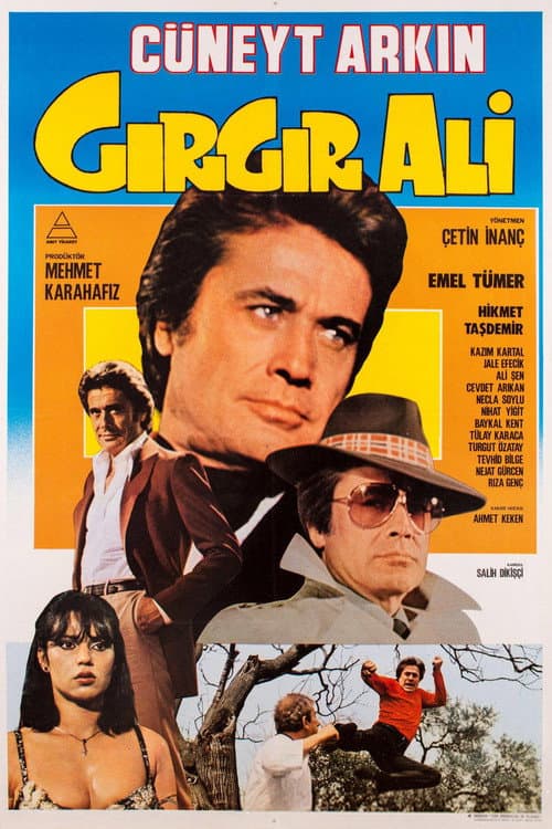 Gırgır Ali (1982) poster