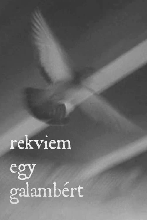Rekviem egy galambért (2020) poster