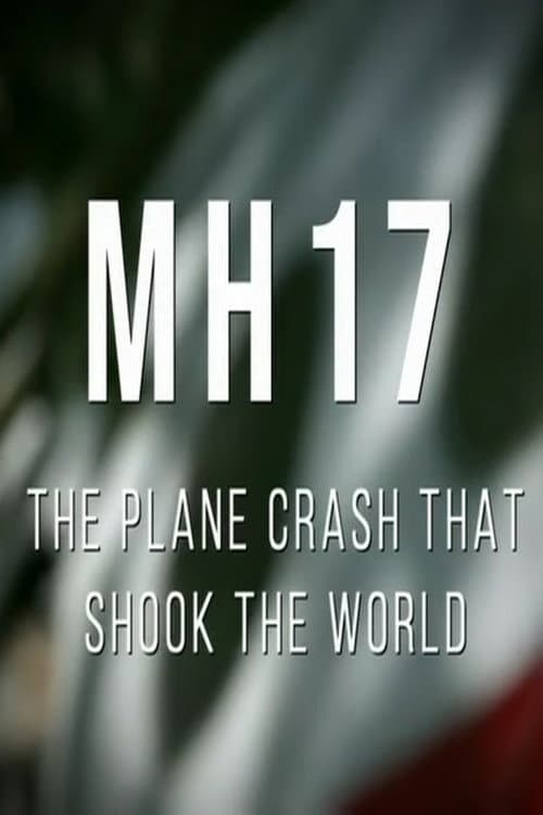 MH17: The Plane Crash That Shook The World (2024) poster