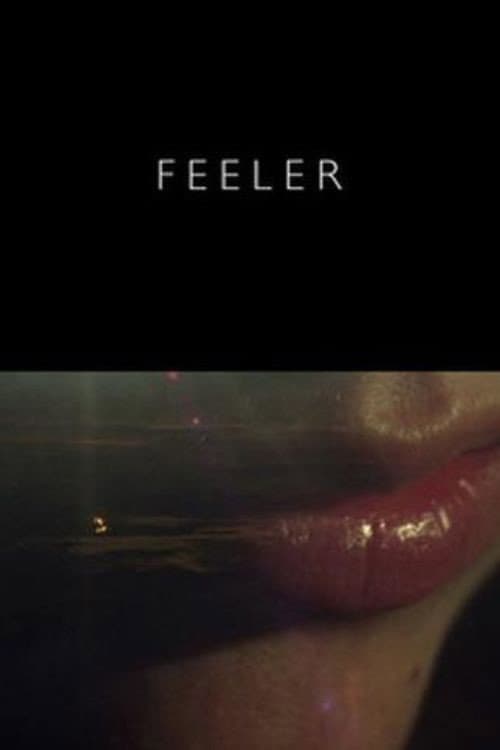 Feeler (2016) poster