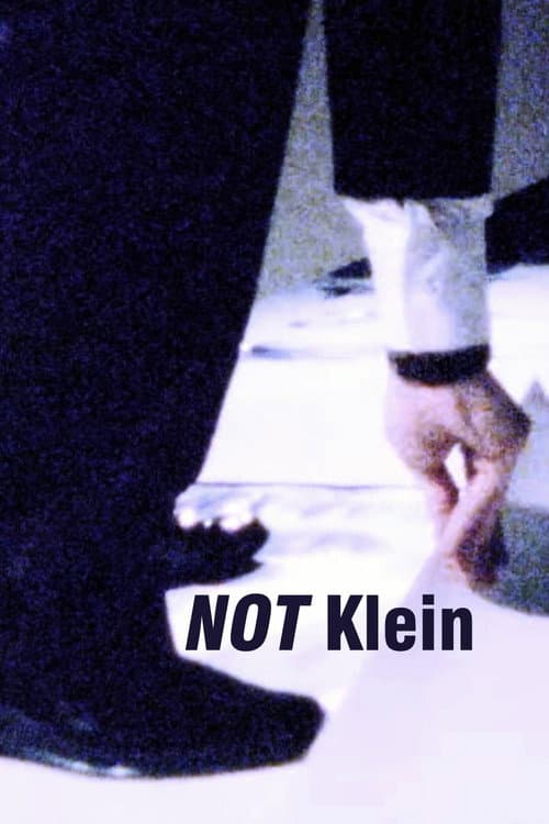 Mike Bidlo: NOT Klein (1985) poster