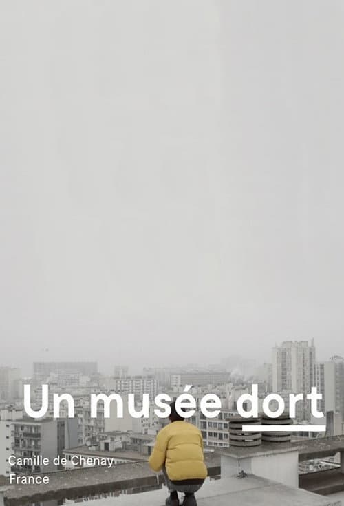 Un musée dort (2020) poster