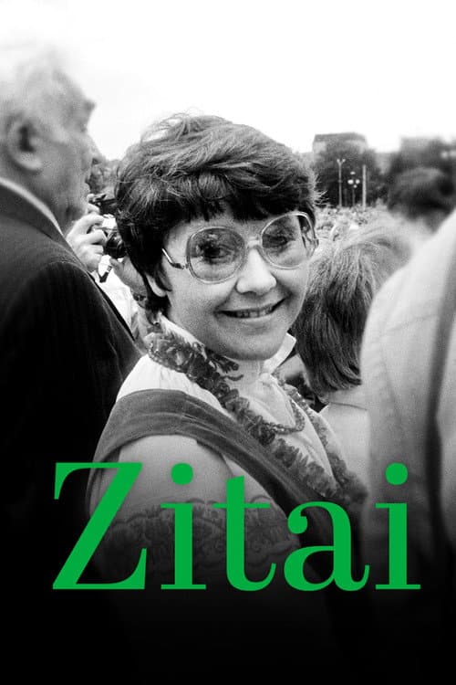Zitai (2026) poster