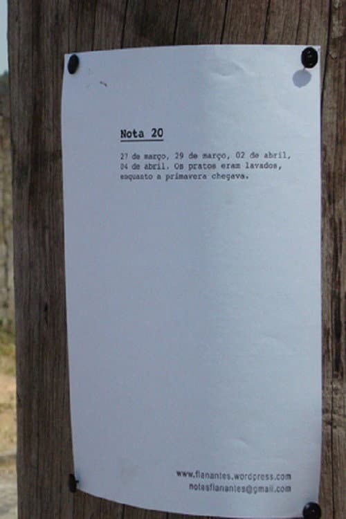 Notas Flanantes (2009) poster