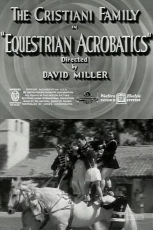Equestrian Acrobats (1937) poster