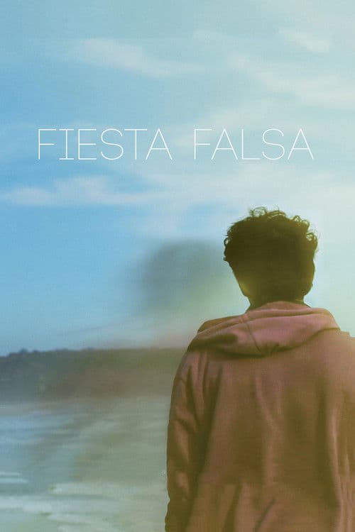 Fiesta falsa (2013) poster