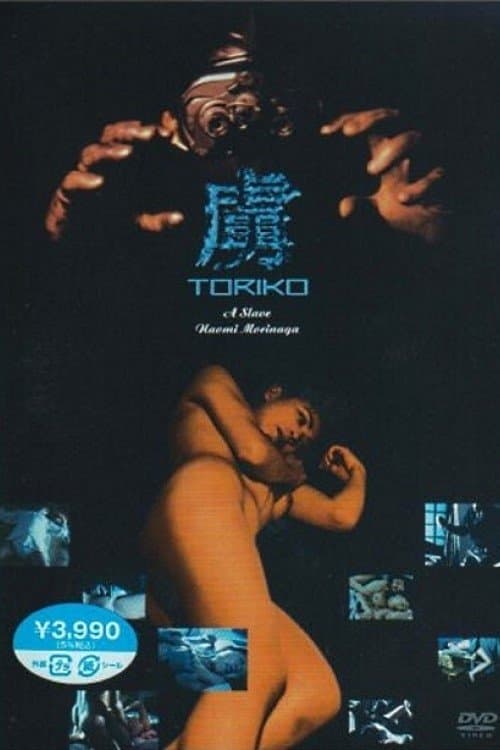 虜 Toriko (1995) poster