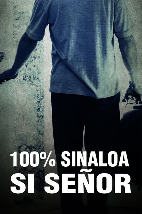 100% Sinaloa sí señor (2013) poster