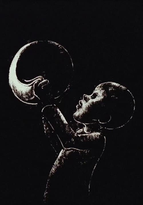 Le petit garçon qui vola la lune (1988) poster