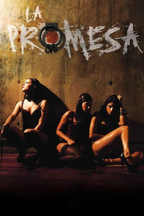La Promesa (2013) poster