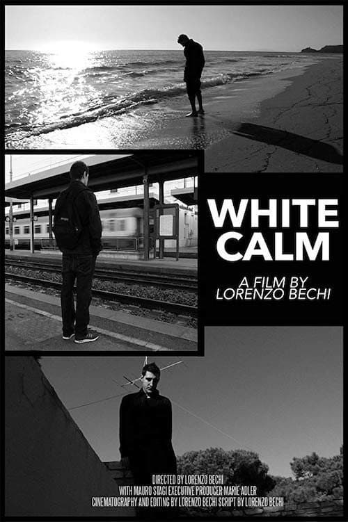 Il Talento del Bianco (2016) poster