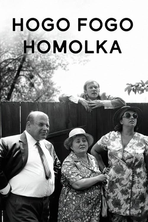 Hogo fogo Homolka (1971) poster