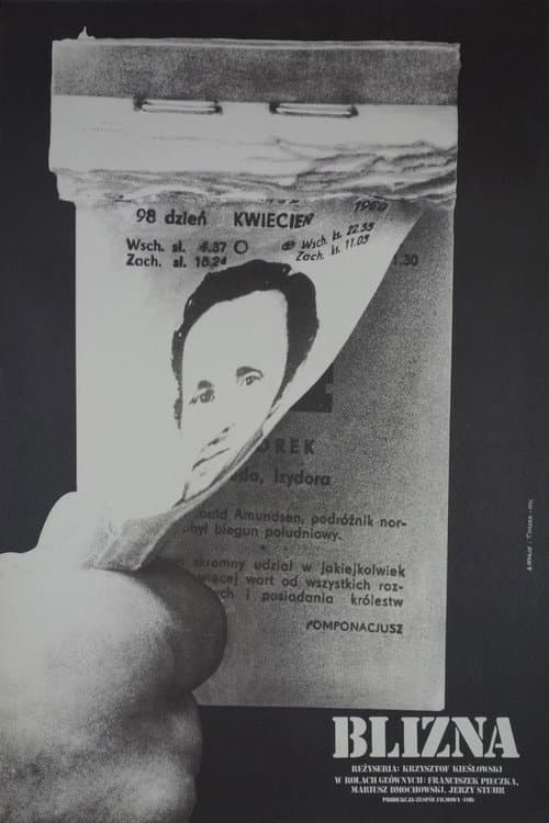 Blizna (1976) poster