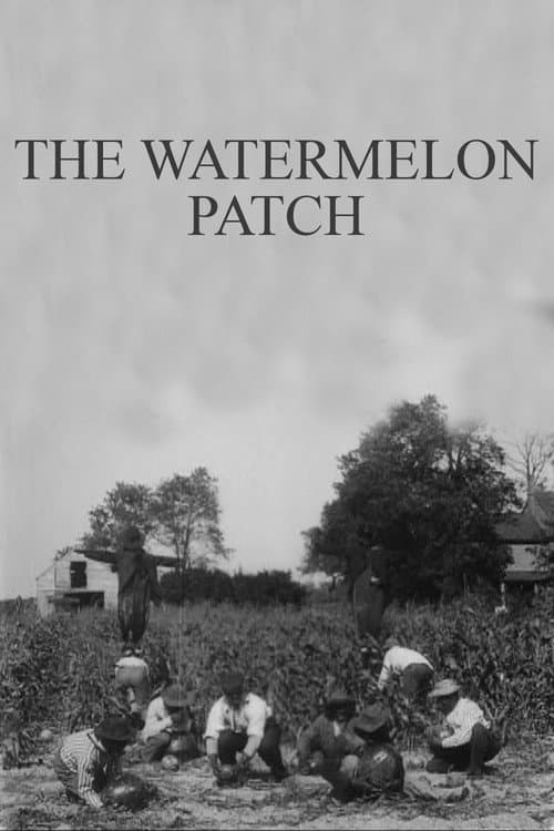 The Watermelon Patch (1905) poster