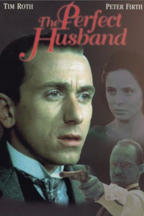 El marido perfecto (1993) poster