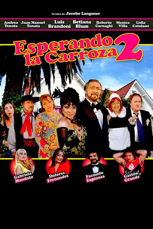 Esperando la carroza 2 (2009) poster