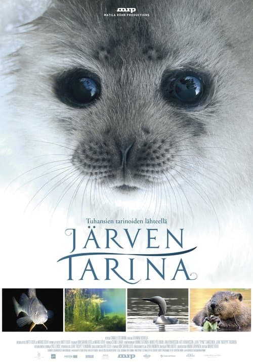 Järven tarina (2016) poster
