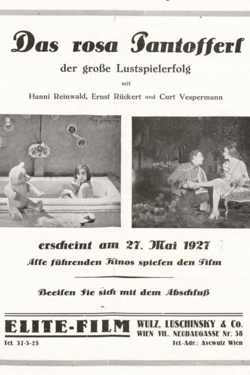 Das rosa Pantöffelchen (1927) poster