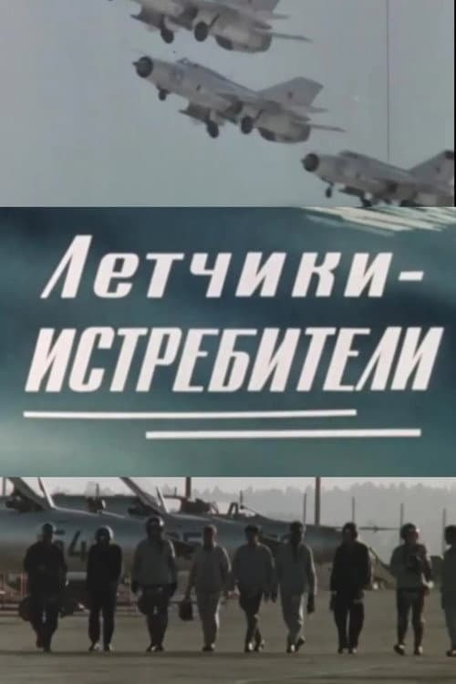 Летчики-истребители (1973) poster