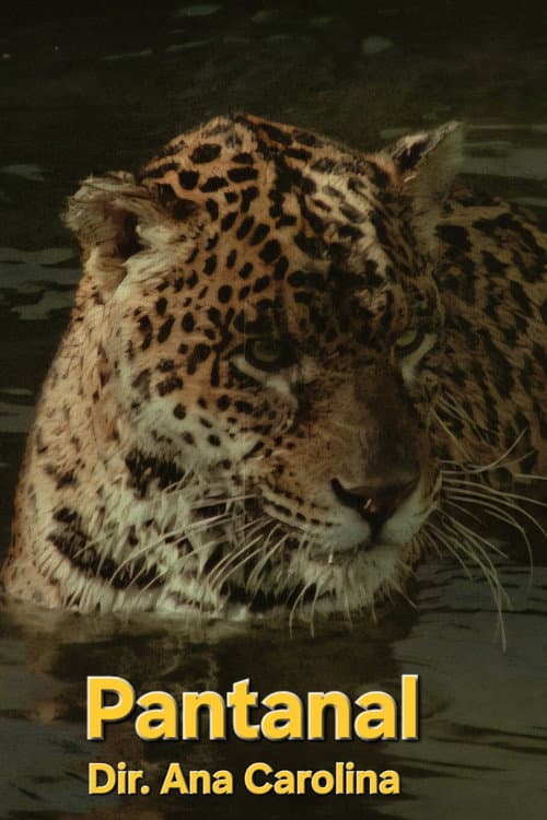 Pantanal (1971) poster