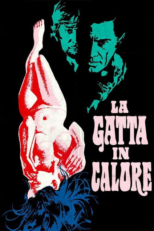 La gatta in calore (1972) poster