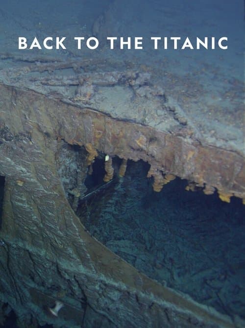 Back to the Titanic (2020) poster