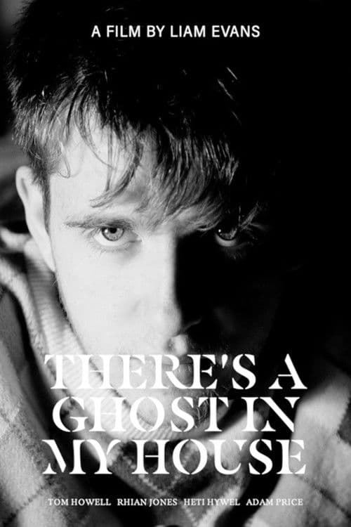 There's A Ghost In My House (2022) poster