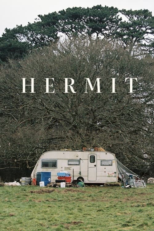 Hermit (2026) poster