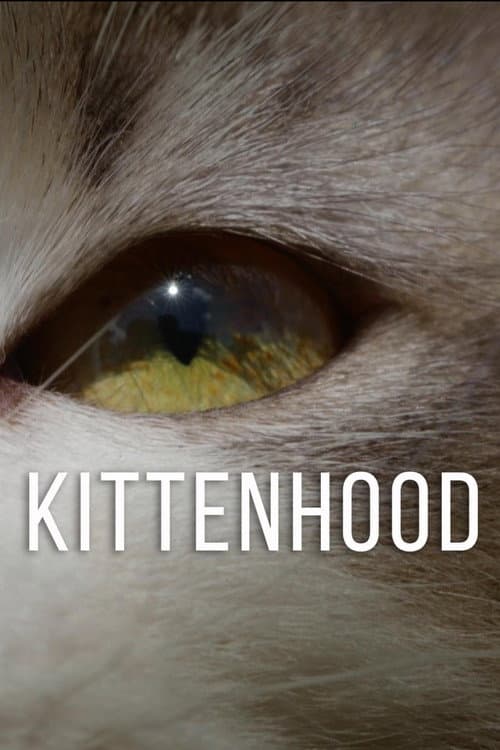 Kittenhood (2015) poster