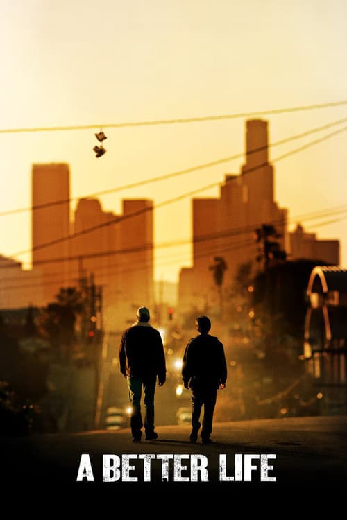 A Better Life (2011) poster