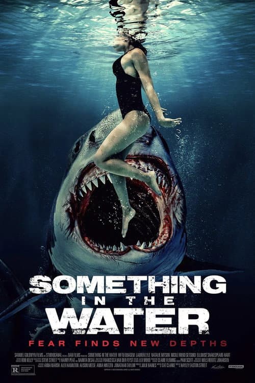 Something (2024) poster