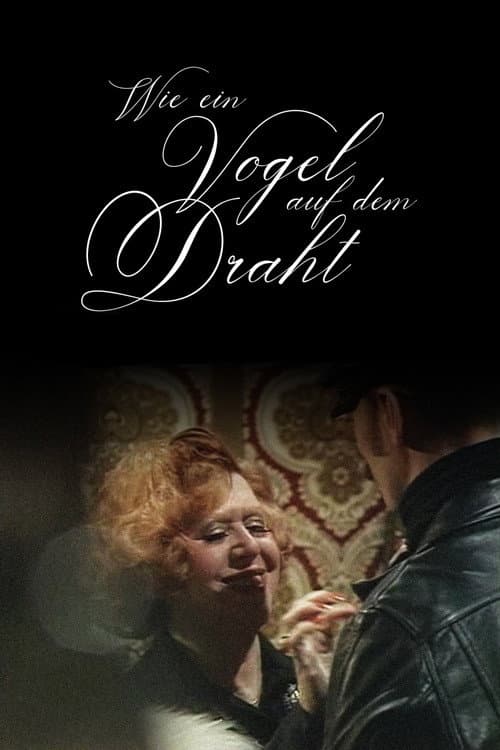 Wie ein Vogel auf dem Draht (1975) poster