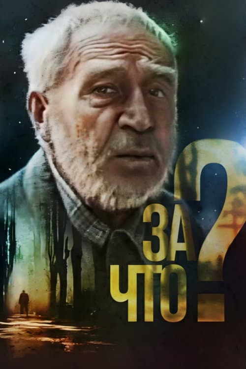 За что? (1991) poster