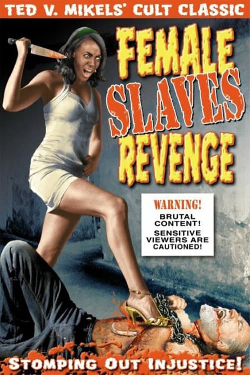 Female Slaves Revenge (1997) poster