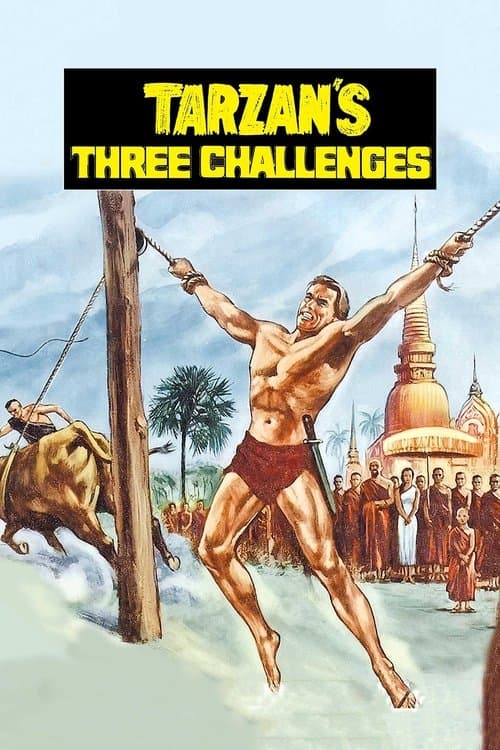 Tarzan's Three Challenges (1963) poster