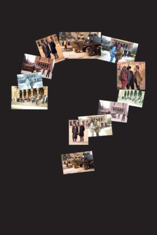 Sindromul Timișoara (2004) poster